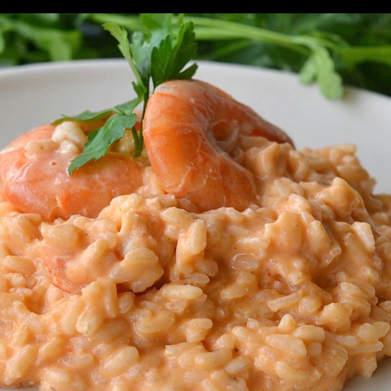 Rissoto Crema Y Gamba