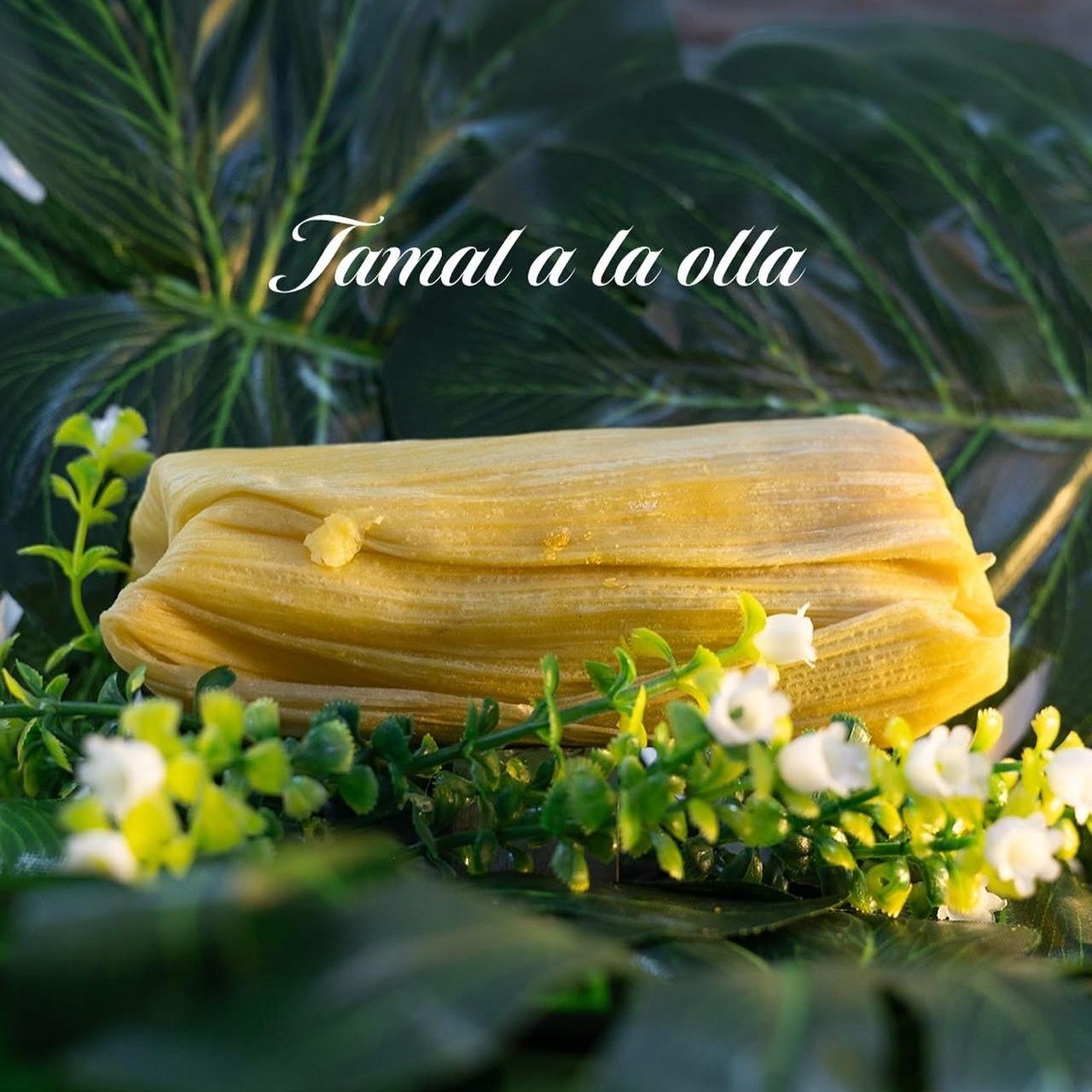 TAMAL A LA OLLA