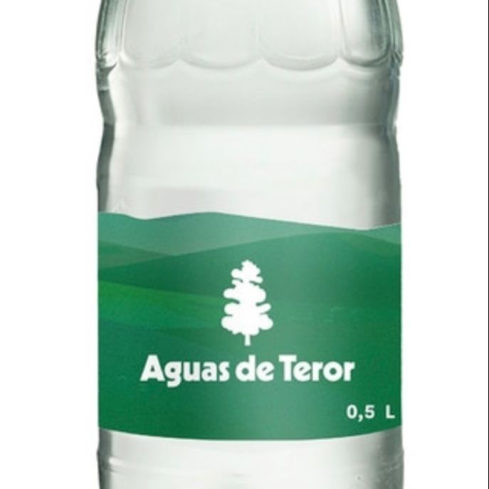 Agua de Teror Con gas 0,5l