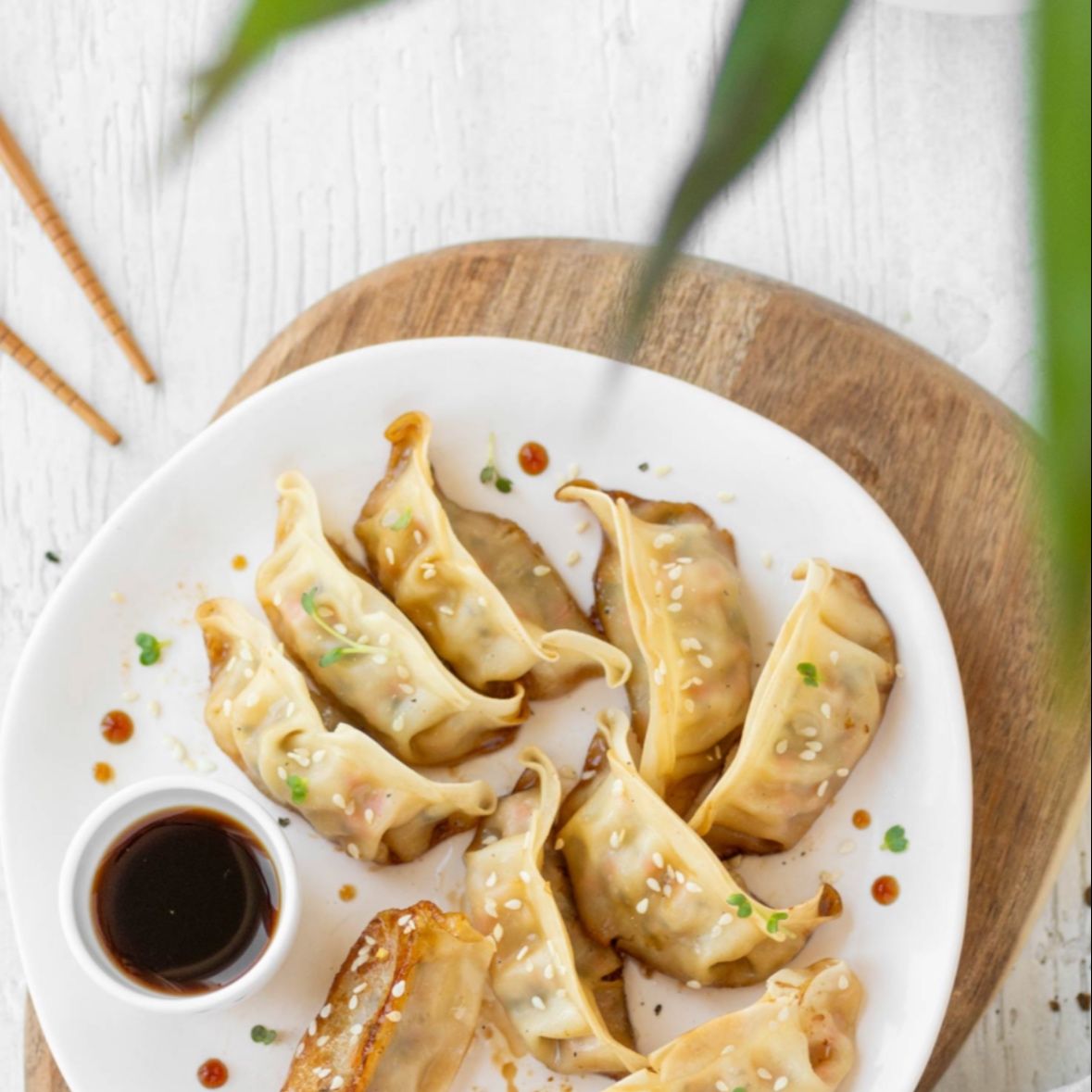 Gyoza verdure 