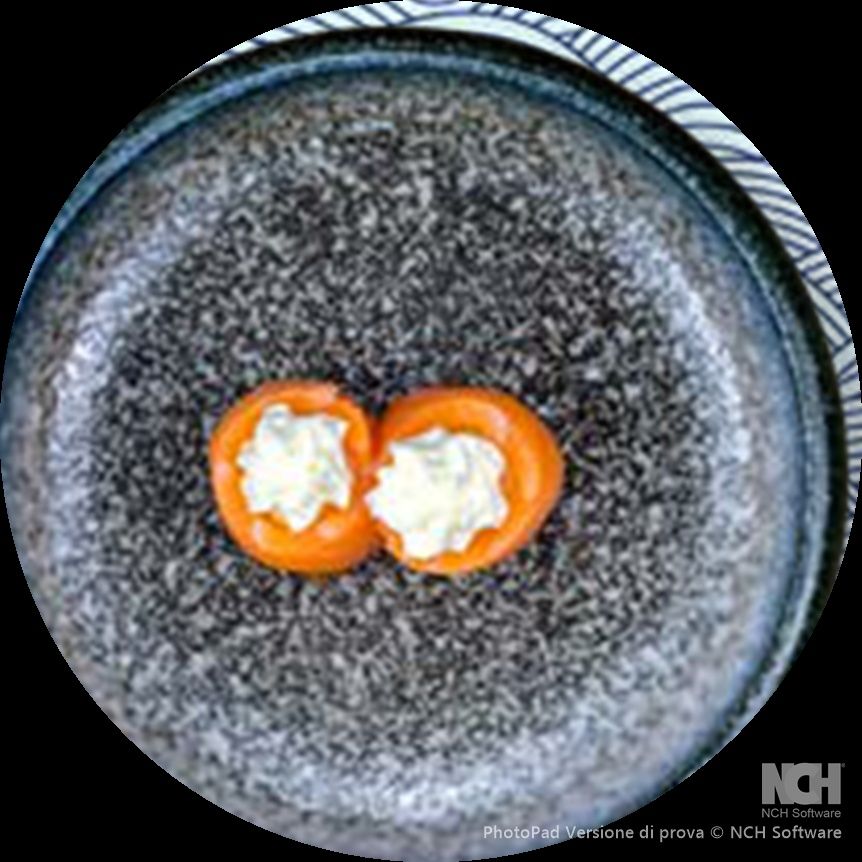 Gunkan Salmon Cheese