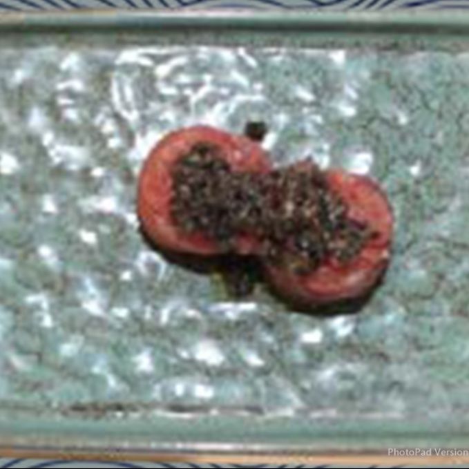 Tartufo Maguro Gunkan