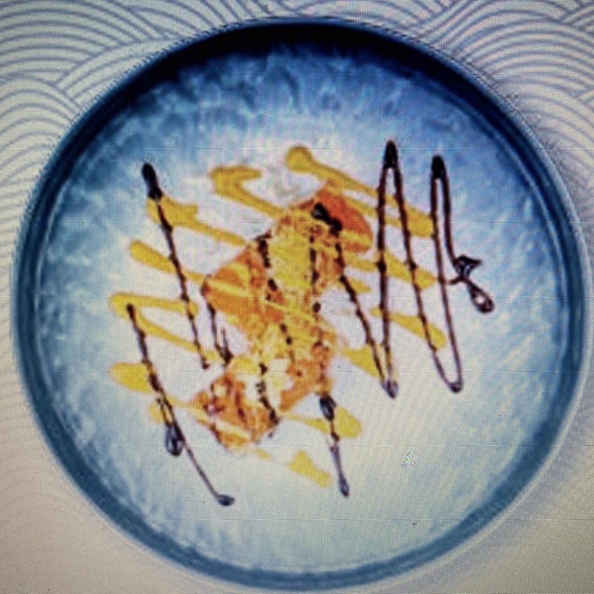 Special Salmon Saudade