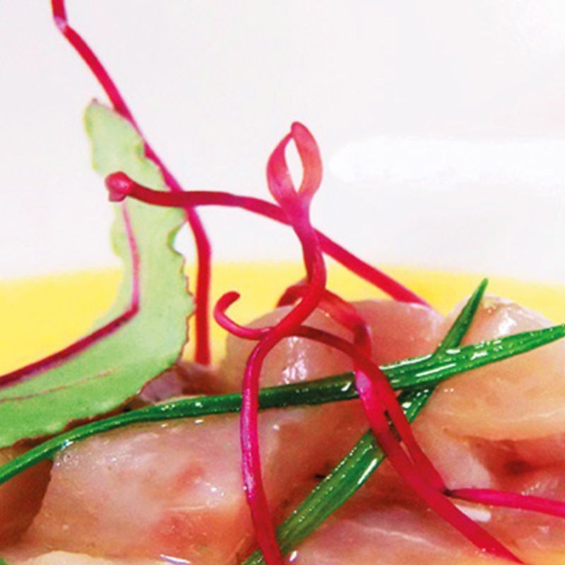 14-Carpaccio spada (9 pezzi)