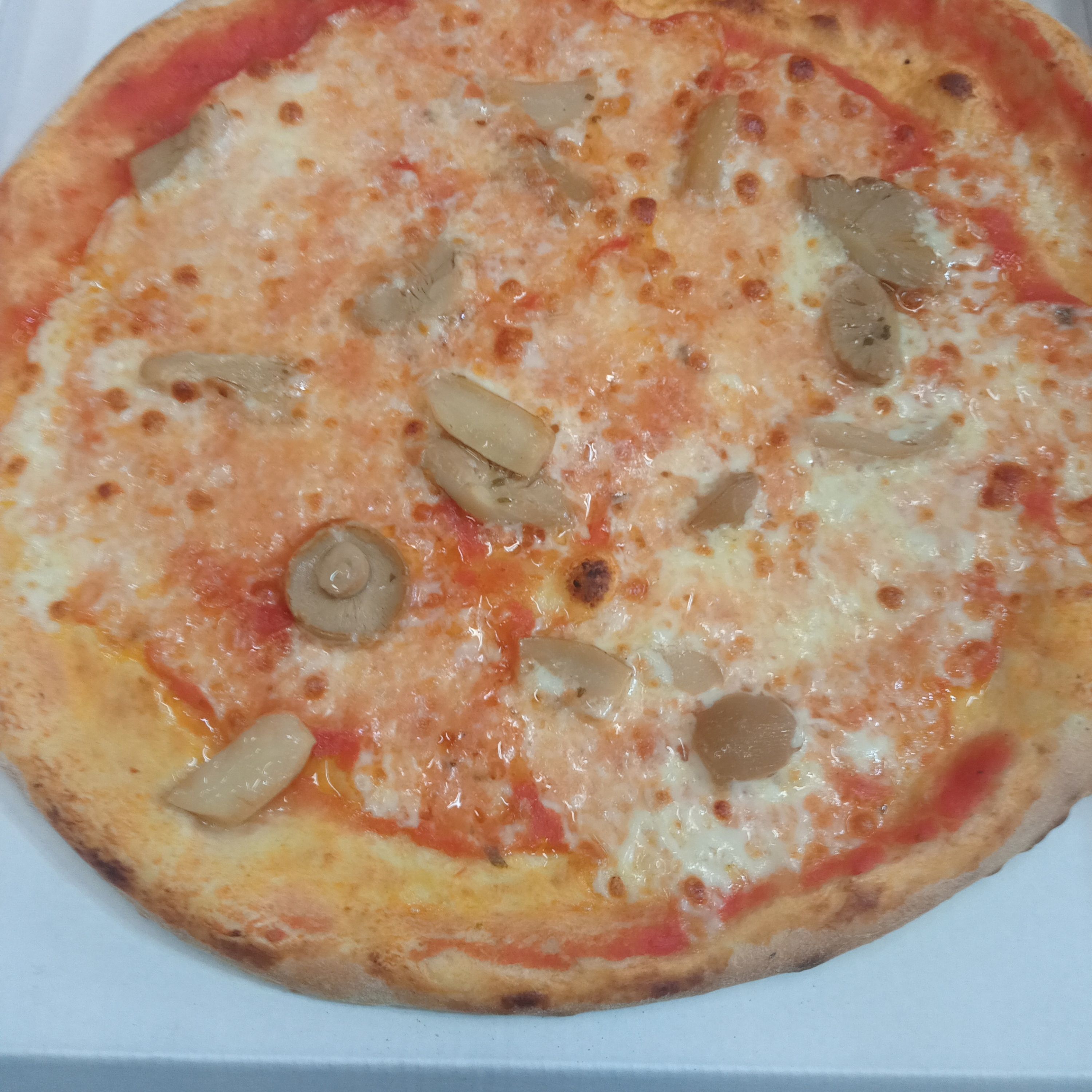 Funghi