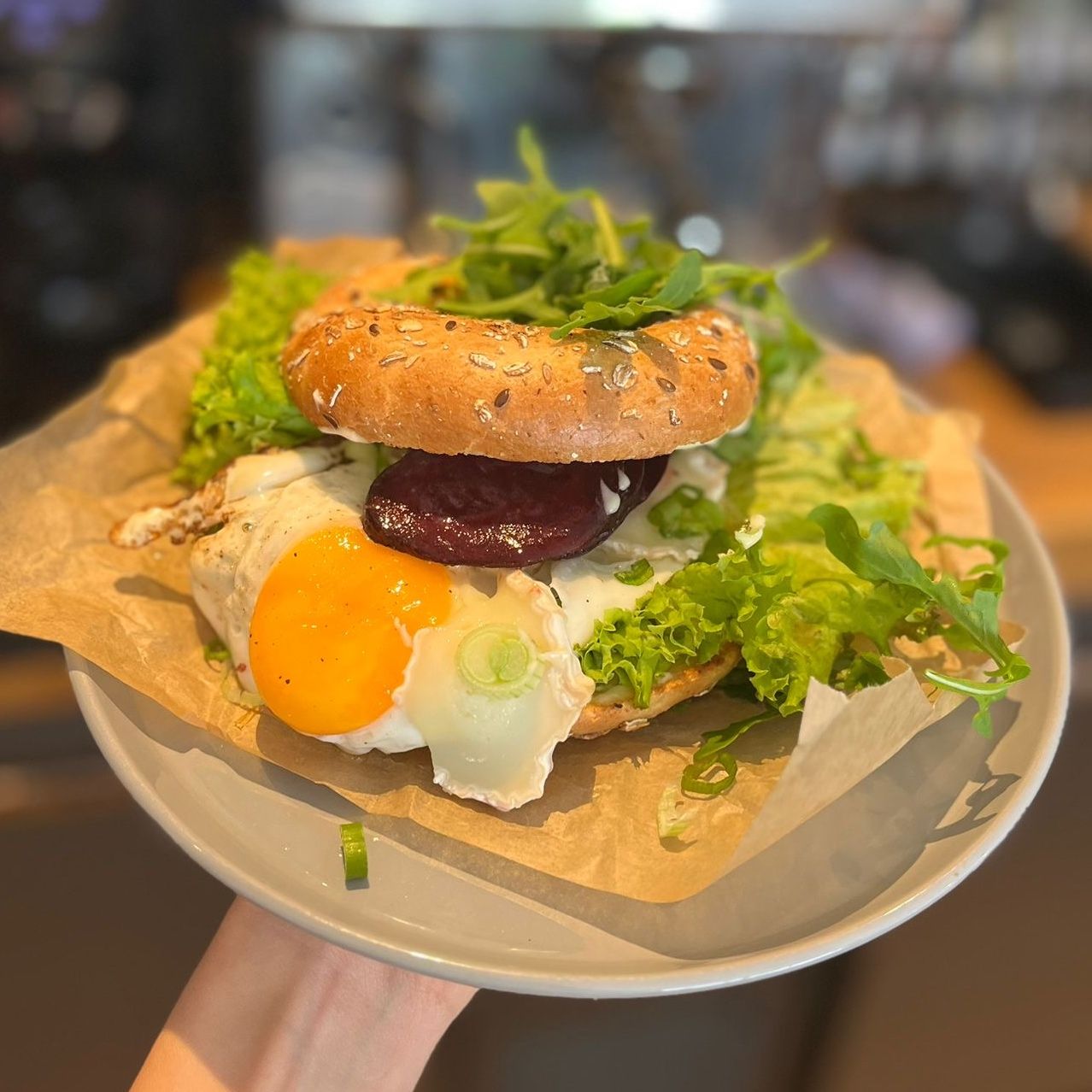 Bajgiel kozi ser-burak 