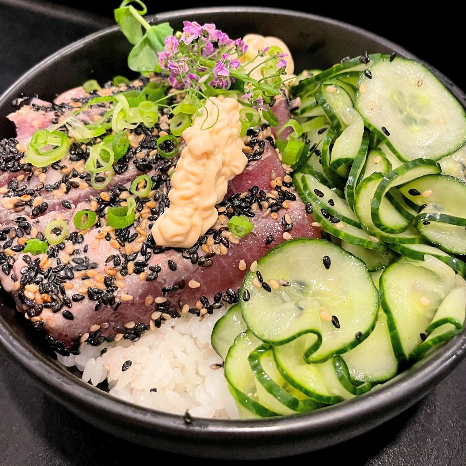MAGURO DONBURI