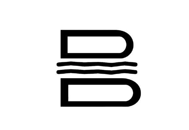 Big Boss Smash Burger