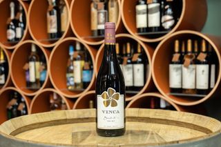 Carastelec Vinca Benedict