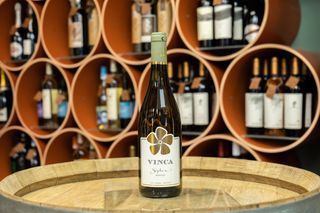 Carastelec Vinca Sophia