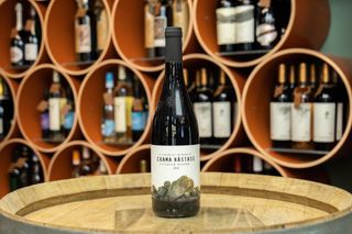 Crama Nastase Feteasca Neagra