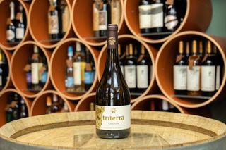 Triterra Fruity Cuvee