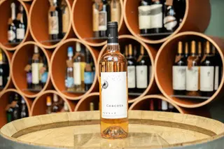 Corcova Rose