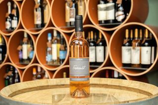 Catleya Freamat Rose