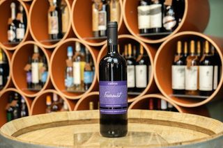 Catleya Freamat Rosu