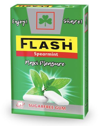 Chewing-Gum Spearmint Flip-Top Flash 25g
