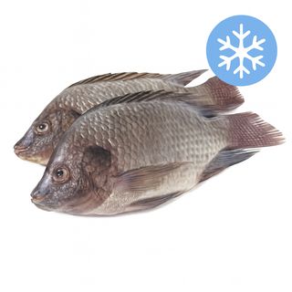 Tilapia Poisson Frais [500G - 800G]