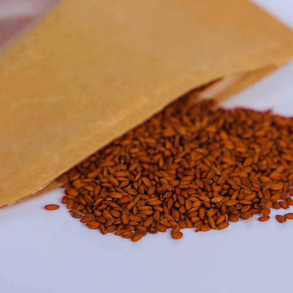 Graines de Cresson - 100g (Riche en Nutriments)(haba rachad)