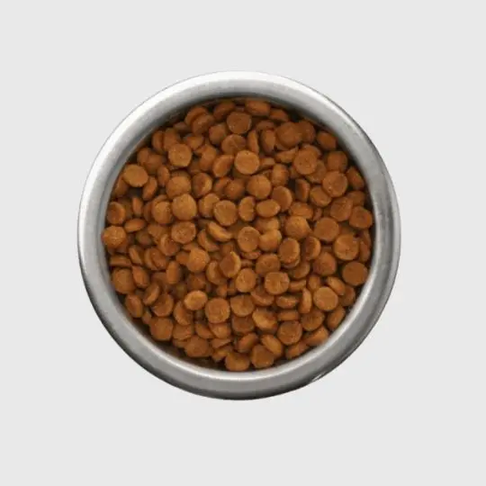 Aliments Pour Animaux