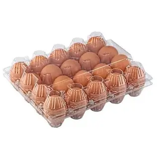 Fresh Eggs 20 Pack