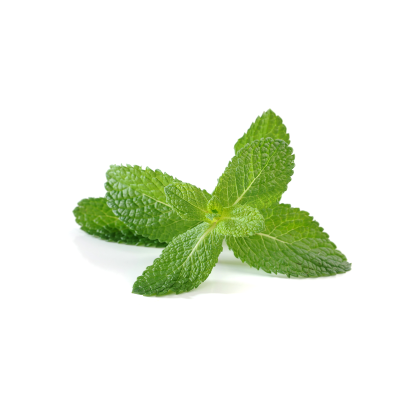 Menthe Le3bdi - Soulagement des troubles digestifs
