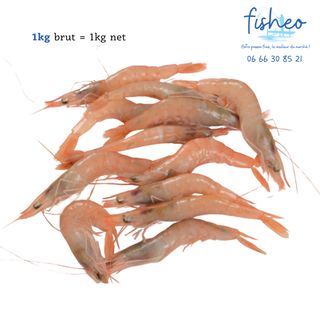 Crevettes Roses (1kg)