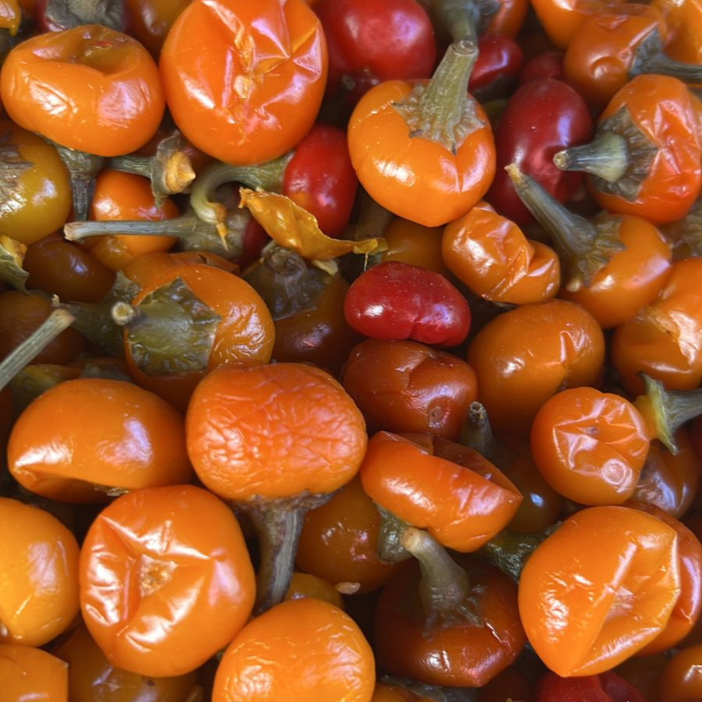 Piment bio - 200 g