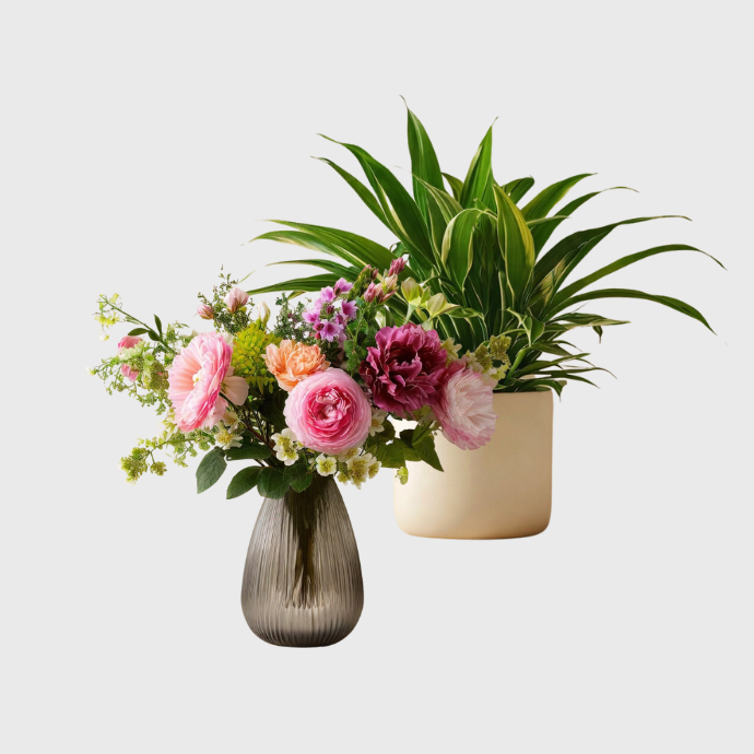 Plantes Et Fleurs