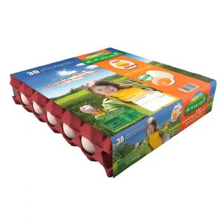 Œufs Jaune Orange El Mazraa 30 Pièces