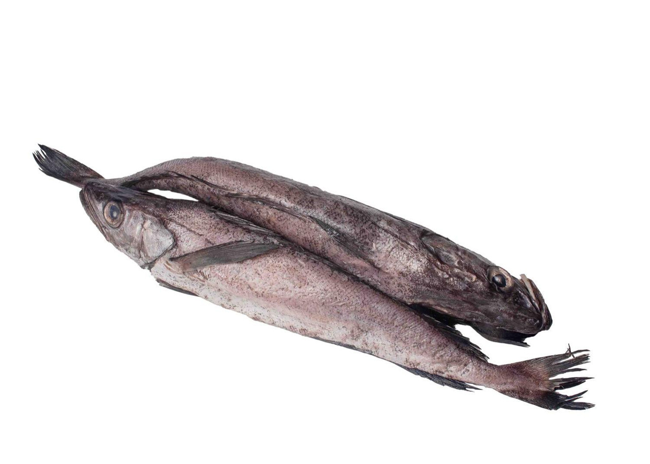 Fish - Hake 1Kg