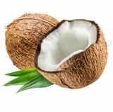 Coconut