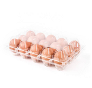 Oeufs Plt De 15 Coq 60G            