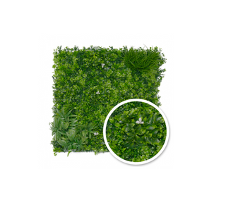 Mur Vegetal Liseron 1X1M-107963