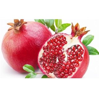 Fr Exo Grenade Bat 870G-1Kg