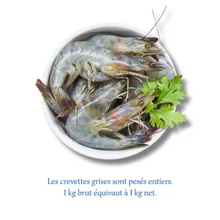 Crevettes Grises (1 kg)