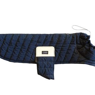 Blue Waterproof Clothes for Large Dogs, Size 8