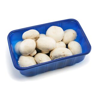 Champignon de Paris Blanc Barquette 1 unité