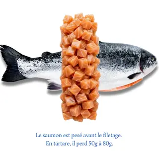 Tartare de Saumon (300g)