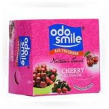 Odo smile disinfectant block 170gms