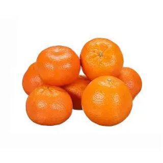 Fresh Clementine