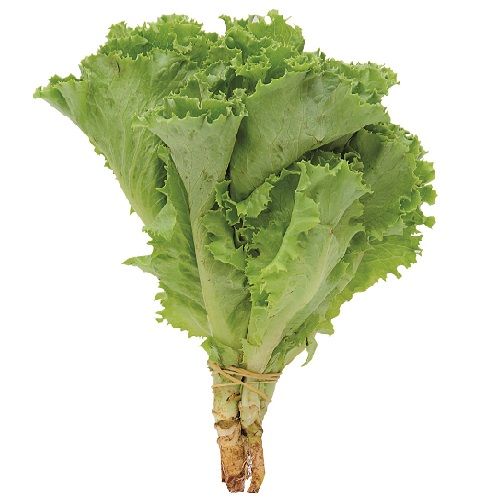 Salades et Herbes Fraiches