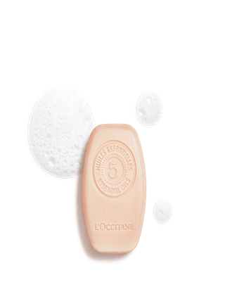 Shampooing Solide Réparation Intense 60G