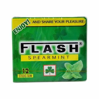 Chewing-gum saveur menthe 30g - FLASH