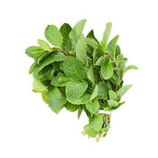 Menthe Meknès botte