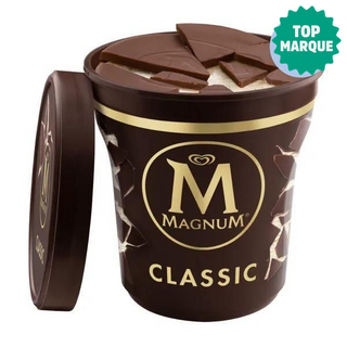 Magnum Classique en Pot 440ml