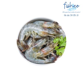 CREVETTES GRISES ( 1 kilo )