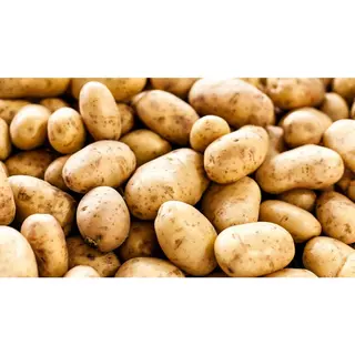 Potato