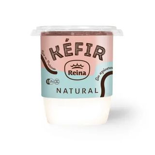 Yaourt kéfir naturel 500g - REINA