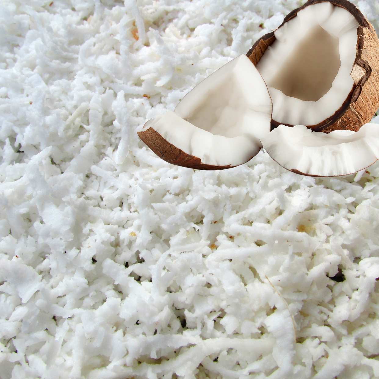 Noix de Coco - 100 g