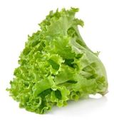 Lettuce